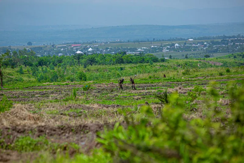 Des agriculteurs travaillent des parcelles verdoyantes de colline près de Bujumbura, au Burundi