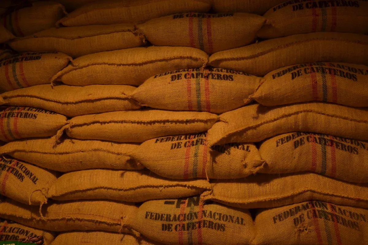 Rangées de sacs de jute de café vert colombien empilés dans un entrepôt