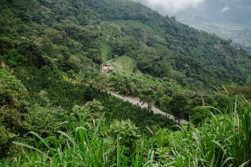 Crêtes verdoyantes et petites fermes au-dessus de Jericó, dans l'Antioquia, en Colombie