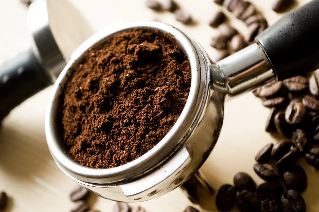 Du café fraîchement moulu dans un porte-filtre, des grains entiers à côté