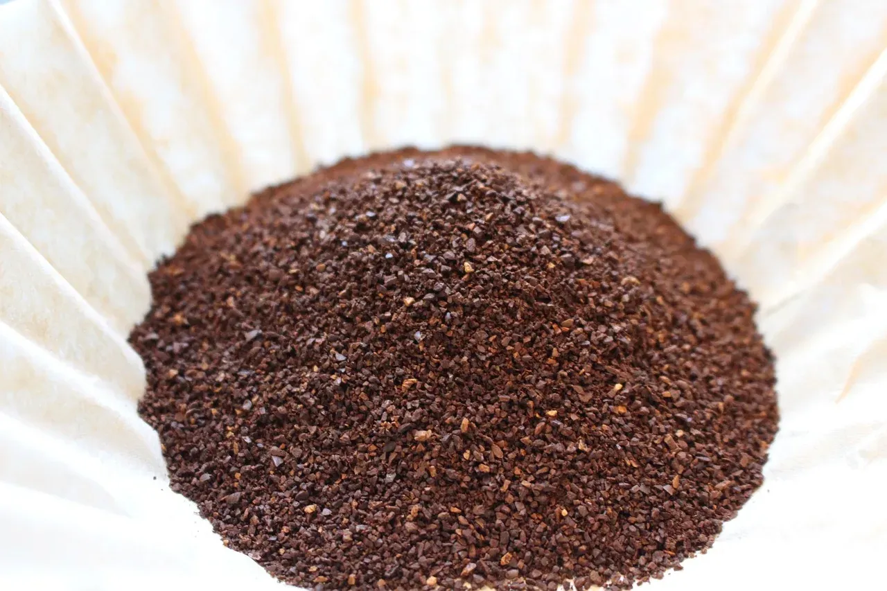 Du café moulu grossier posé dans un filtre en papier plissé