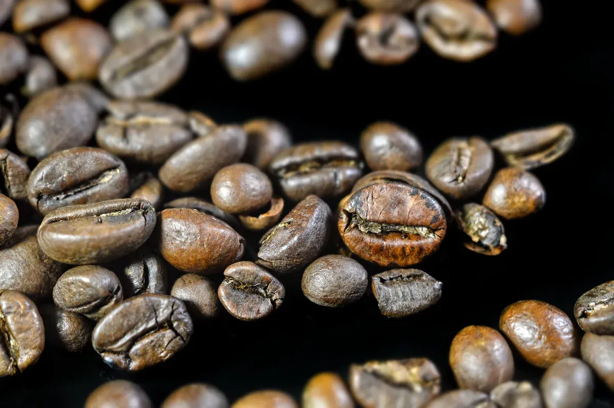 Gros plan sur des grains de café torréfiés foncé posés sur une surface sombre