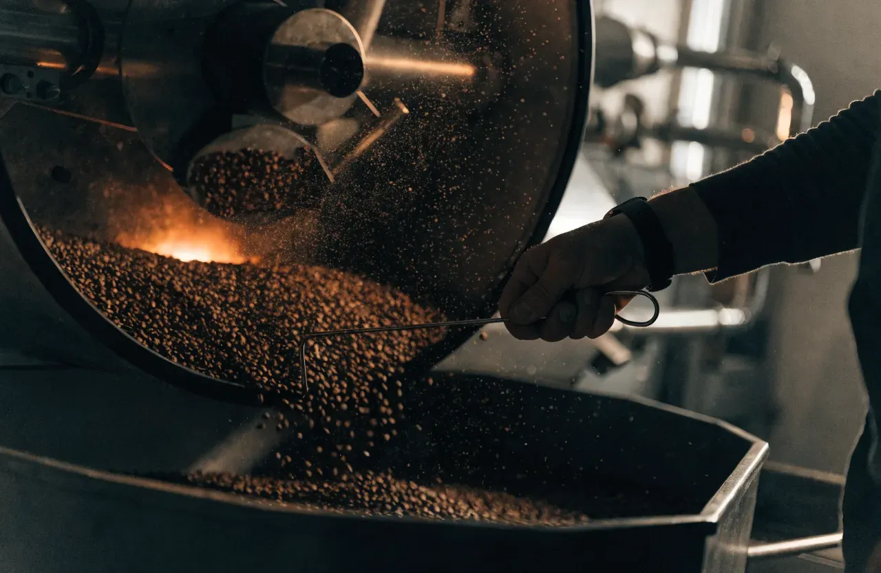 Des grains de café vert qui tombent dans le tambour d'un torréfacteur de boutique, vus par la porte de prélèvement ouverte
