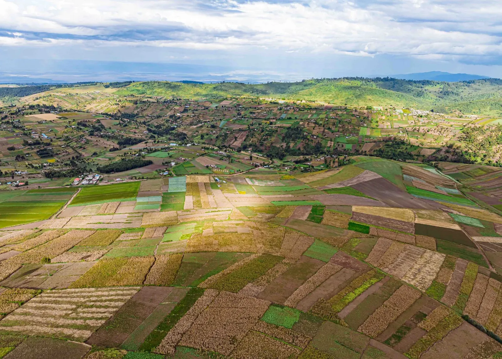 Mosaïque de petites parcelles agricoles sur les hauteurs de Mau Narok, au Kenya