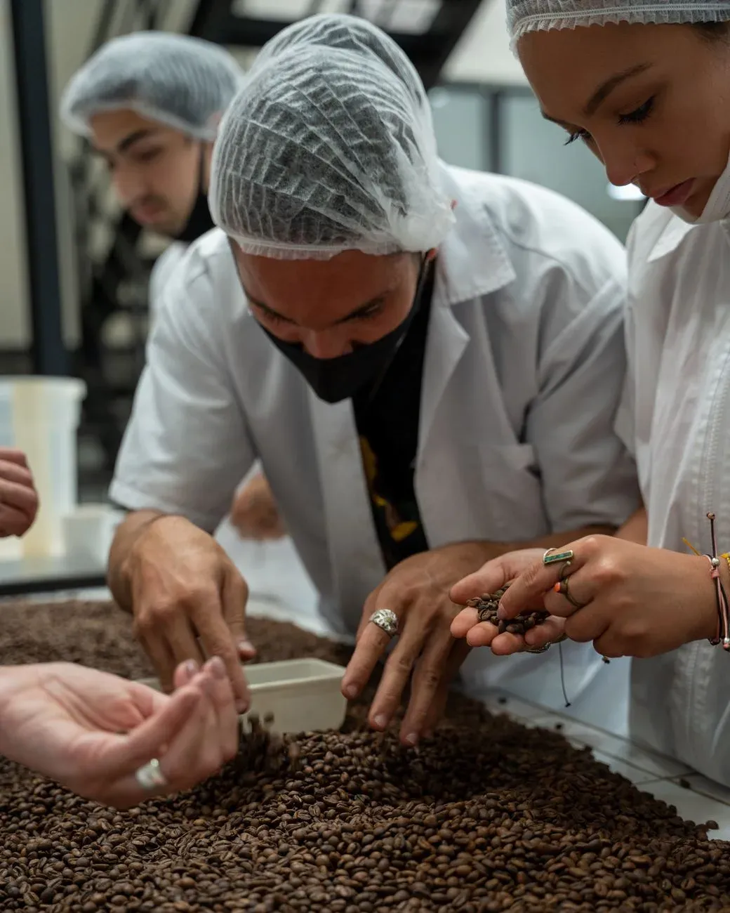 Workers in uniform sorting coffee beans on a processing line