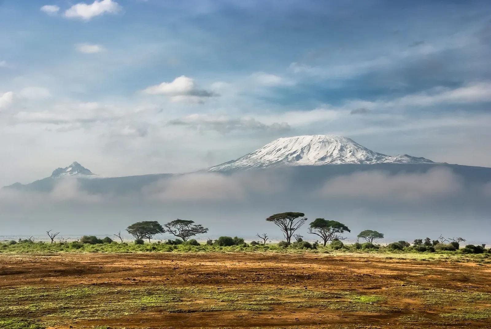 La neige du Kilimandjaro au-dessus de la plaine