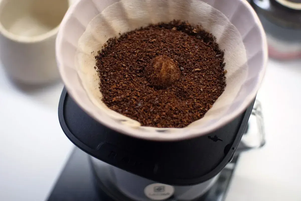 Un V60 vu du dessus, la mouture égalisée dans le filtre papier